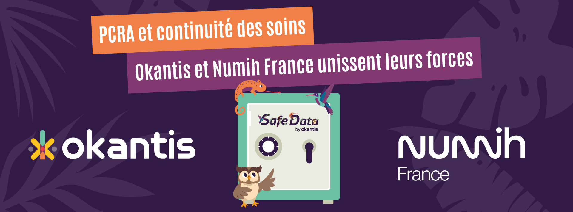 Logo Okantis, Numih et Safe Data